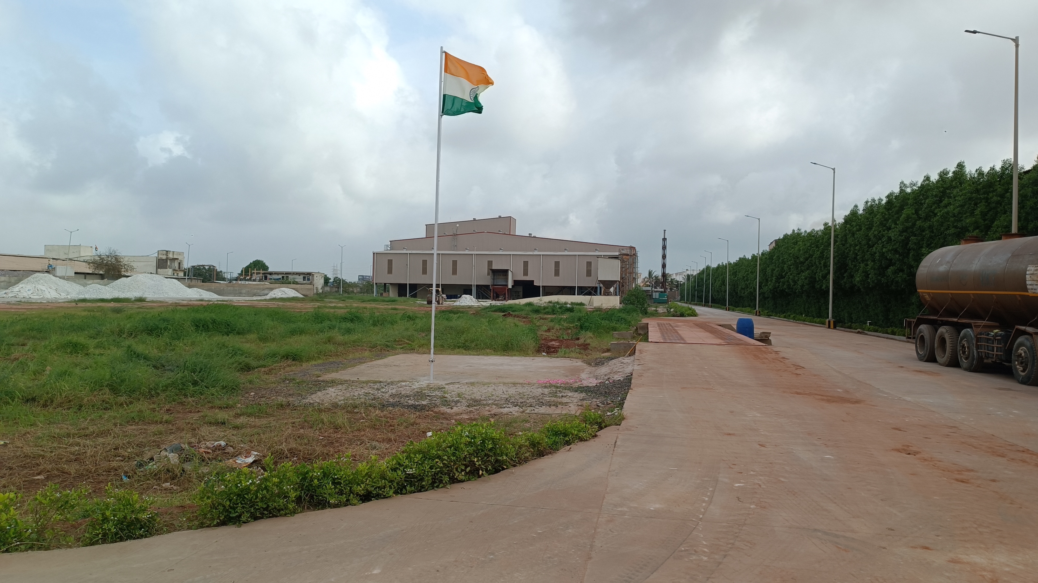 Morbi